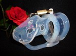 Birdlocked Classic: clear silicone Chastity Cage 
